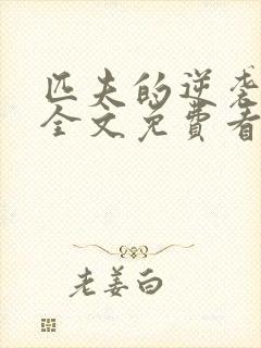 匹夫的逆袭小说全文免费看