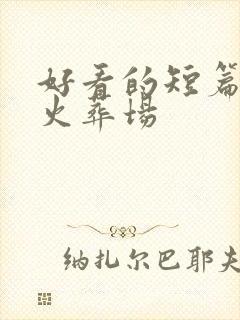 好看的短篇追妻火葬场