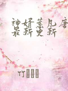 神婿叶凡唐若雪最新更新