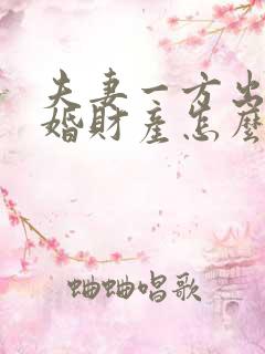 夫妻一方出轨离婚财产怎么分割