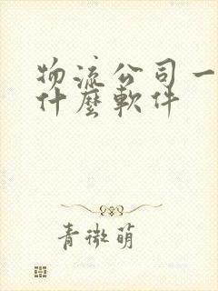 物流公司一般用什么软件