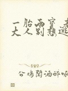 一胎两宝 老婆大人别想逃