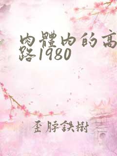 肉体内的高速公路1980
