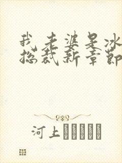 我老婆是冰山女总裁新章节沈浪