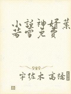 小说神婿叶凡唐若雪免费