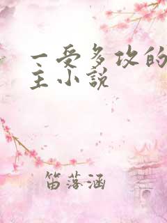 一受多攻的双男主小说