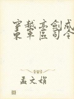 穿越亮剑成为山东军区司令的小说