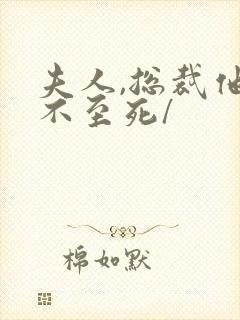 夫人,总裁他罪不至死/