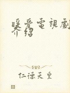 暖爱电视剧剧情介绍