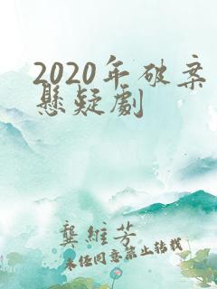 2020年破案悬疑剧