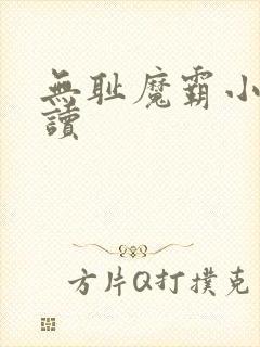 无耻魔霸小说阅读