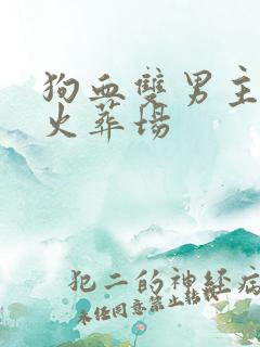 狗血双男主追妻火葬场