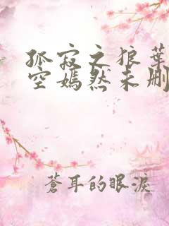 孤寂之狼叶凡司空嫣然未删减txt