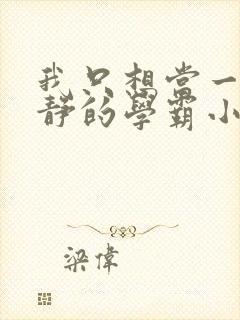 我只想当一个安静的学霸小说