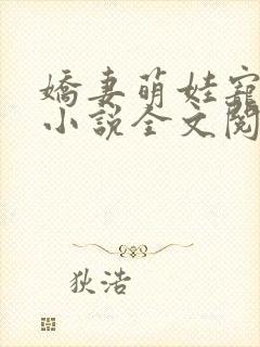 娇妻萌娃宠上天小说全文阅读