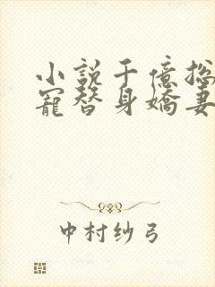 小说千亿总裁独宠替身娇妻