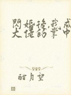 闪婚后,我成了大佬的掌中物