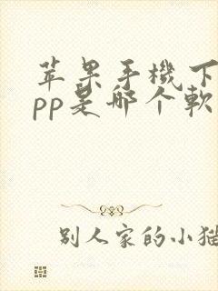 苹果手机下载app是哪个软件