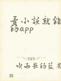 看小说就能赚钱的app