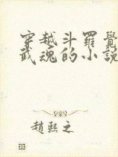 穿越斗罗觉醒剑武魂的小说