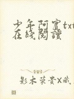 少年阿宾txt在线阅读