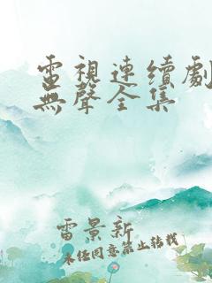 电视连续剧密战无声全集