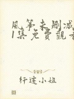 风筝未删减版51集免费观看