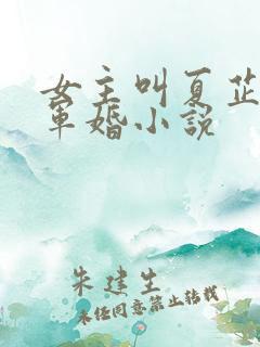 女主叫夏芷依的军婚小说