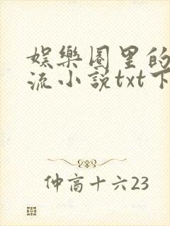 娱乐圈里的泥石流小说txt下载