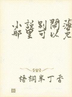 小说别闹薄先生哪里可以免费阅读