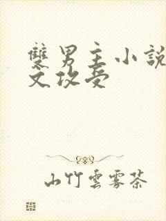 双男主小说星际文攻受