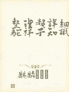 整理超详细的骆驼祥子知识点