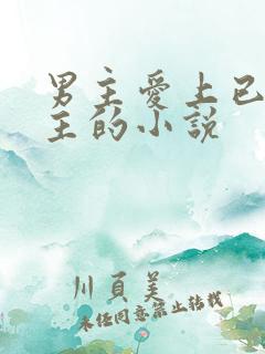 男主爱上已婚女主的小说