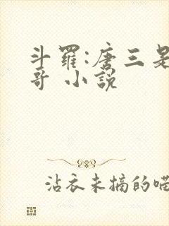 斗罗:唐三是我哥 小说