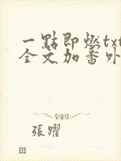 一点即燃txt全文加番外