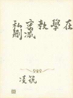 私密教学在线无删减