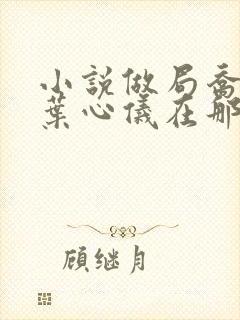 小说做局乔梁/叶心仪在那里更新