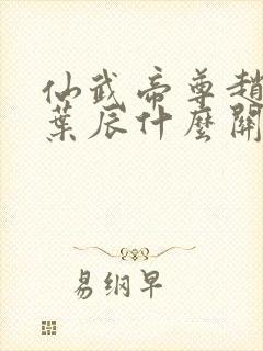 仙武帝尊赵云和叶辰什么关系