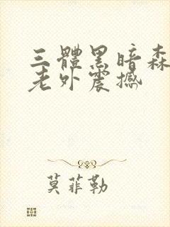 三体黑暗森林 老外震撼