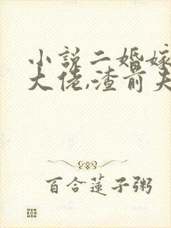 小说二婚嫁京圈大佬,渣前夫疯了