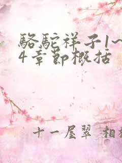 骆驼祥子1~24章节概括