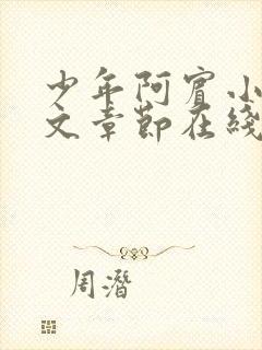 少年阿宾小说全文章节在线