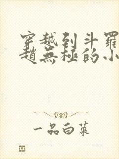 穿越到斗罗成为赵无极的小说