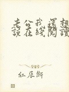 老公我还想要小说在线阅读