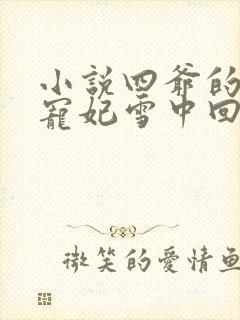 小说四爷的心尖宠妃雪中回眸