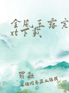 金风玉露完整txt下载