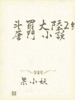 斗罗大陆2绝世唐门 小说