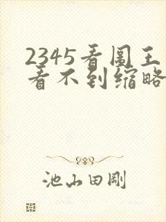 2345看图王看不到缩略图