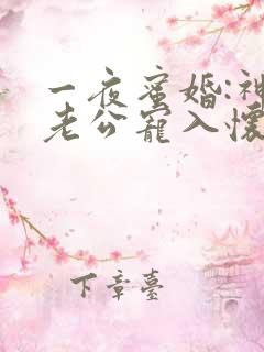 一夜蜜婚:神秘老公宠入怀全文免费阅读