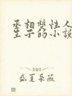 丞相双性人是受生子的小说